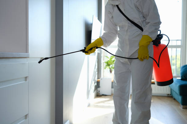 Certified Mold Removal in Cridersville, OH