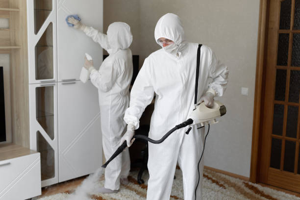 Best Professional Mold Removal  in Cridersville, OH